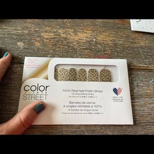 Safari Chic Color Street